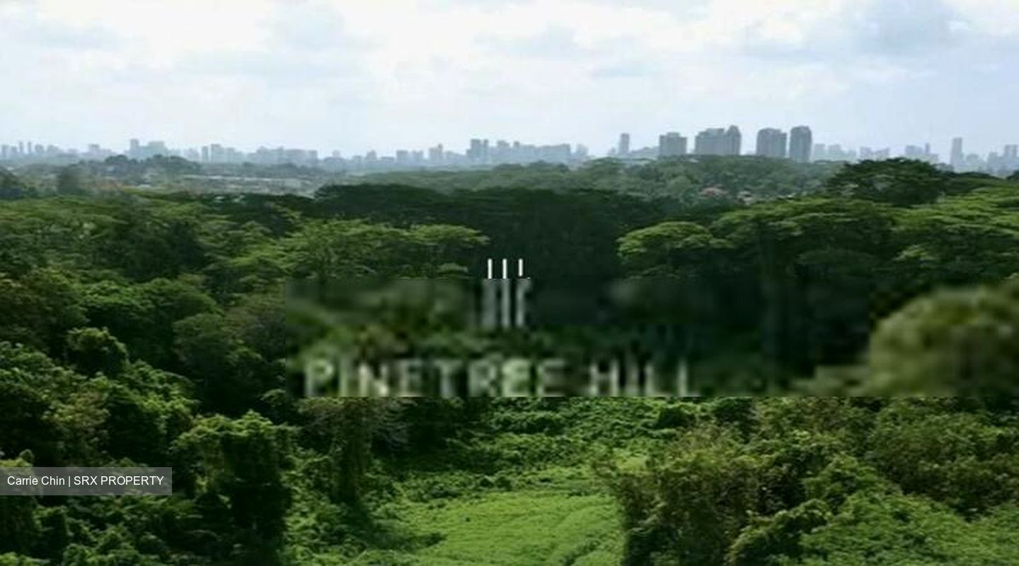 Pinetree Hill (D21), Condominium #408602661